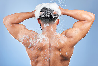 Buy stock photo Shower, washing hair and back of man in studio for cleaning, hygiene and skincare on blue background. Dermatology, bathroom and person with shampoo, soap and foam for wellness, health or self care