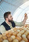 Farm, agriculture and farmer with egg in hand for inspection, growth production and food industry. Poultry farming, countryside and man with chicken eggs for order, protein market and quality control