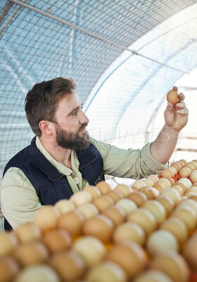Buy stock photo Farm, agriculture and farmer with egg for inspection, growth production and food industry. Poultry farming, countryside and man checking chicken eggs for order, protein market and quality control