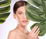 Woman, portrait and monstera plants for beauty, natural cosmetics and aesthetic wellness on studio background. Face, model and skincare from green leaves, leaf and sustainability of vegan dermatology