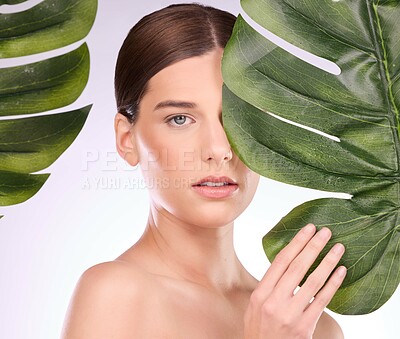 Buy stock photo Woman, portrait and monstera plants for beauty, natural cosmetics and aesthetic wellness on studio background. Face, model and skincare from green leaves, leaf and sustainability of vegan dermatology