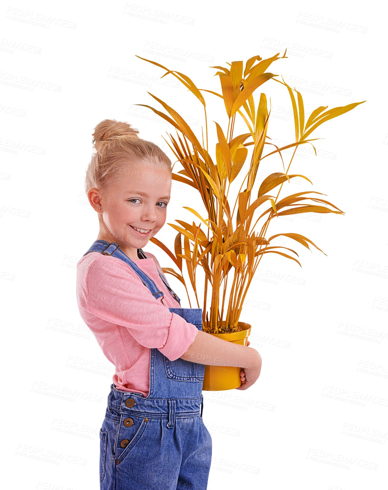 Buy stock photo Portrait, plant and smile of kid with pot isolated on a transparent png background. Happy child or girl with potted leaf, natural sustainability and gardening for ecology, earth day and conservation