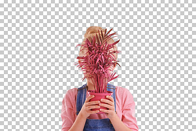 Buy stock photo Pot, child cover face with plant and isolated on a transparent png background. Kid hiding with potted leaf, natural sustainability and cute girl gardening for ecology, earth day and floral growth