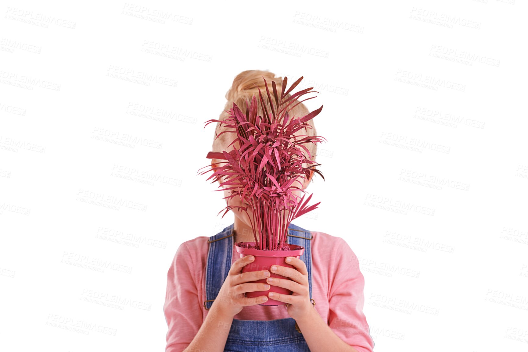 Buy stock photo Pot, child cover face with plant and isolated on a transparent png background. Kid hiding with potted leaf, natural sustainability and cute girl gardening for ecology, earth day and floral growth