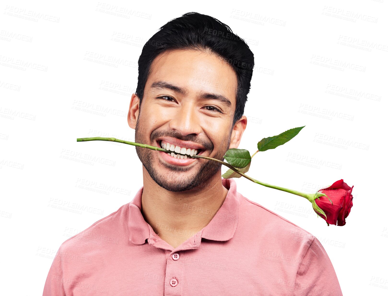 Buy stock photo Isolated man, portrait and rose in teeth, happy or flirt with anniversary gift by transparent png background. Funny person, flower or smile for floral present in mouth for valentines day celebration