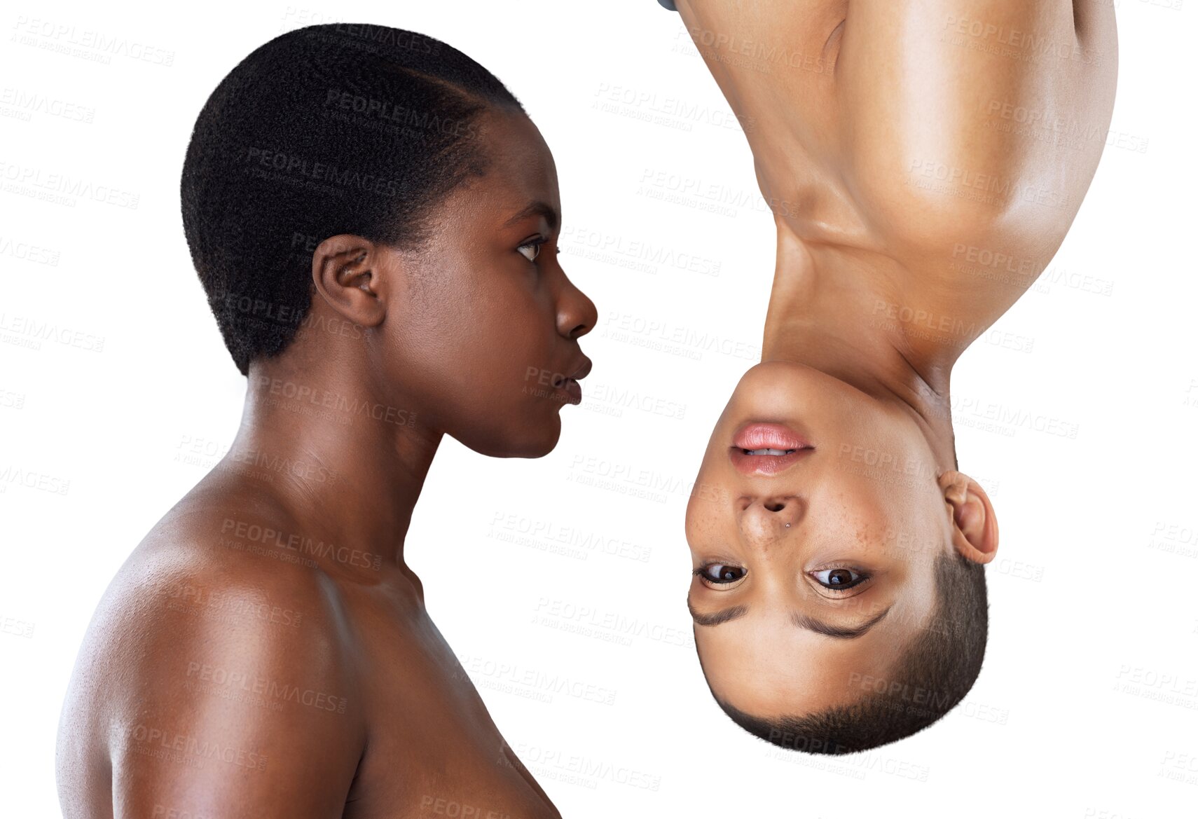 Buy stock photo Face, beauty and natural skincare with black woman friends isolated on a transparent background for wellness. Portrait, contrast and unique with model people on PNG for foundation or cosmetics