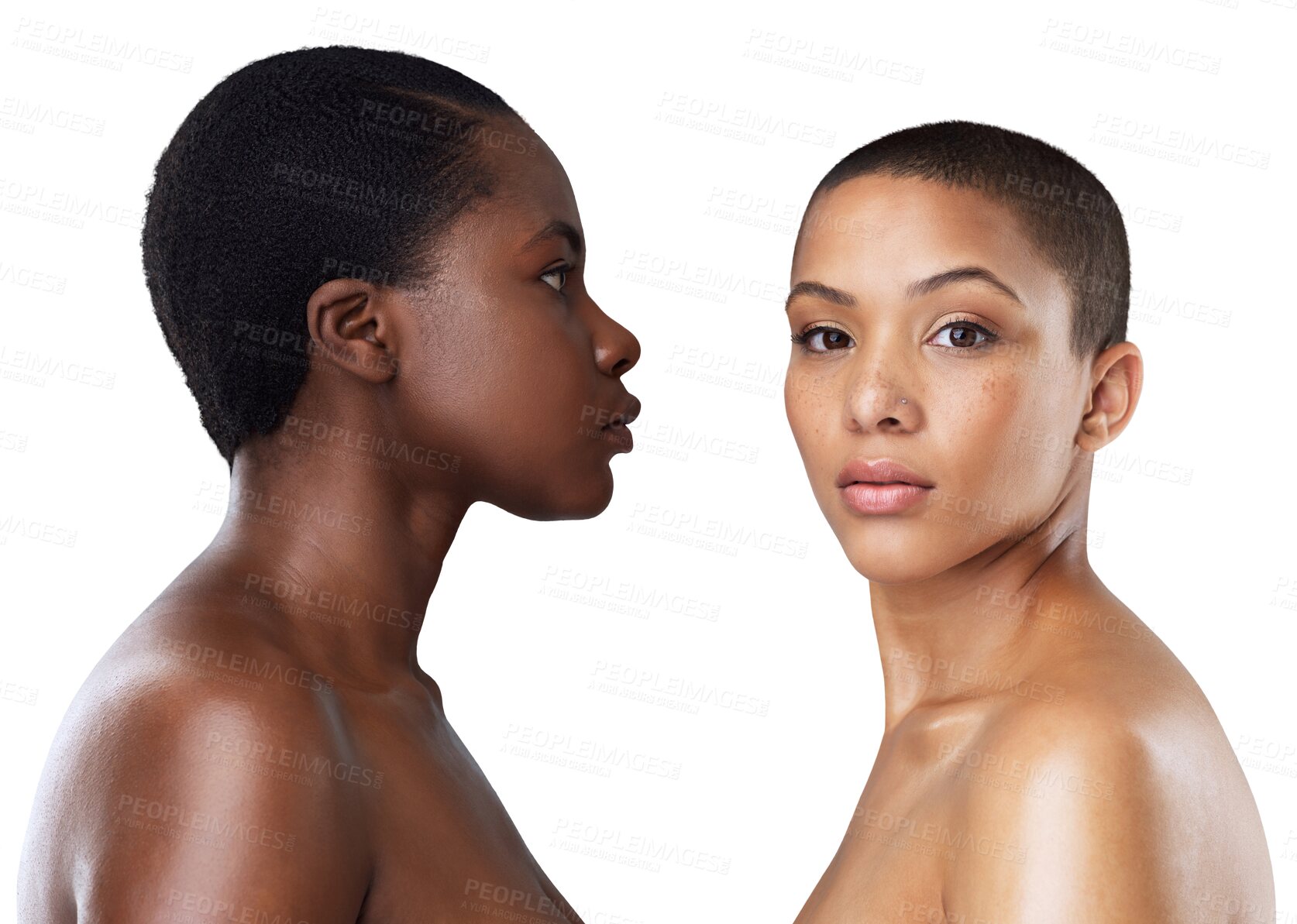 Buy stock photo Skin care, diversity and portrait of serious women isolated on transparent png background with health, facial and skin glow. Beauty, face and friends together, woman with natural cosmetics and care.