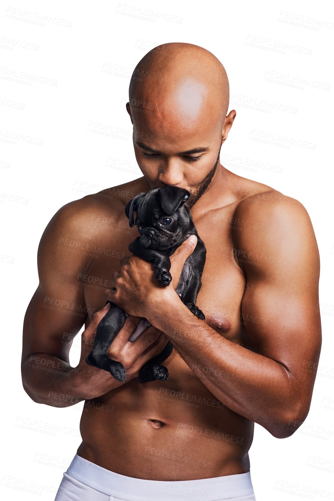 Buy stock photo Kiss, dog and man with pet in underwear on isolated, png and transparent background with smile. Best friend, love and happy strong person holding pug puppy for friendship, animal care and adoption