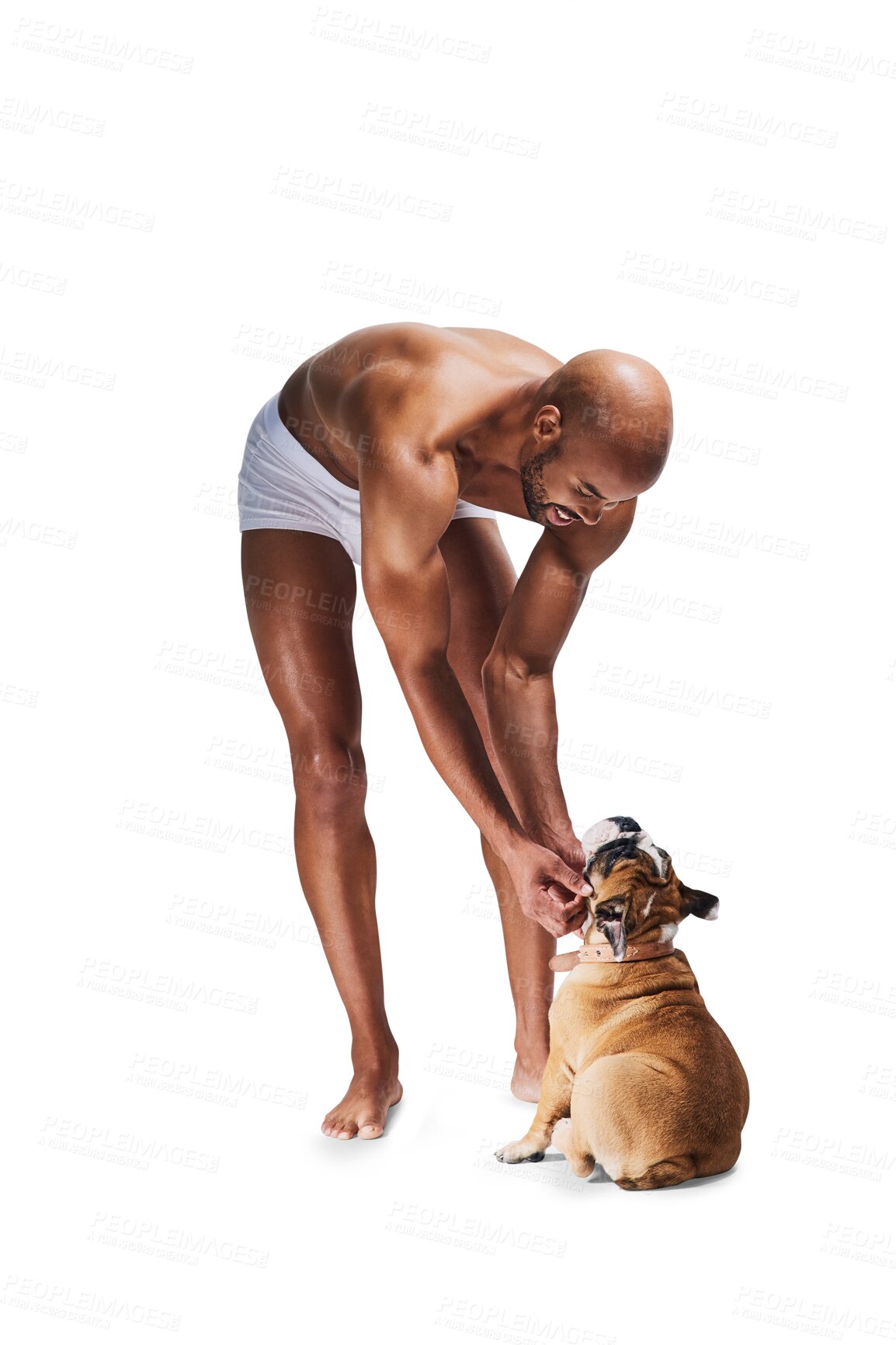 Buy stock photo Playing, happy and man with dog or pet on isolated, png and transparent background with smile. Best friend, love and person in underwear bonding with bulldog for friendship, animal care and adoption