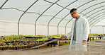 Botanist, man and greenhouse for agriculture, farming and study plants or vegetables for science. Scientist, farmer or person at nursery, garden or research leaf, food experiment or ecology in nature