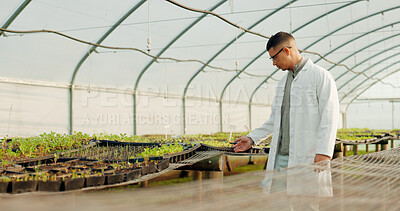 Buy stock photo Botanist, man and greenhouse for agriculture, farming and study plants or vegetables for science. Scientist, farmer or person at nursery, garden or research leaf, food experiment or ecology in nature