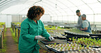 Woman, greenhouse inspection and planning with working and agriculture work with a smile of farmer. Sustainability, plants and garden soil with career and farming with produce and leaf monitoring