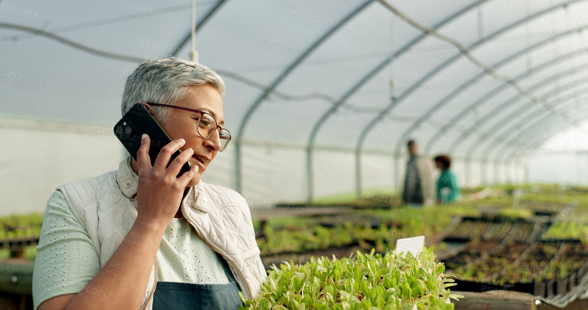 Buy stock photo Farmer, phone call and greenhouse plants, agriculture or farming communication, growth and agro business management. Senior woman, supplier or seller talking on mobile with sprout tray or gardening