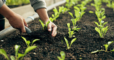 Buy stock photo Closeup, hand and soil for planting in farming, agribusiness or gardening in greenhouse for future growth. Person, worker and tool for earth, sapling or harvest of organic produce, vegetable or agro