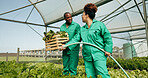 Greenhouse, agriculture and employees watering plants for growth, quality and food production. Sustainable business, agro farming and vegetables, man and woman with water, lettuce and development.