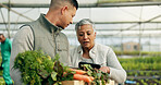 Mature woman, greenhouse and talking with working and agriculture work with a smile of farmer. Sustainability, plants and garden soil with agro career and farming with produce and growth inspection