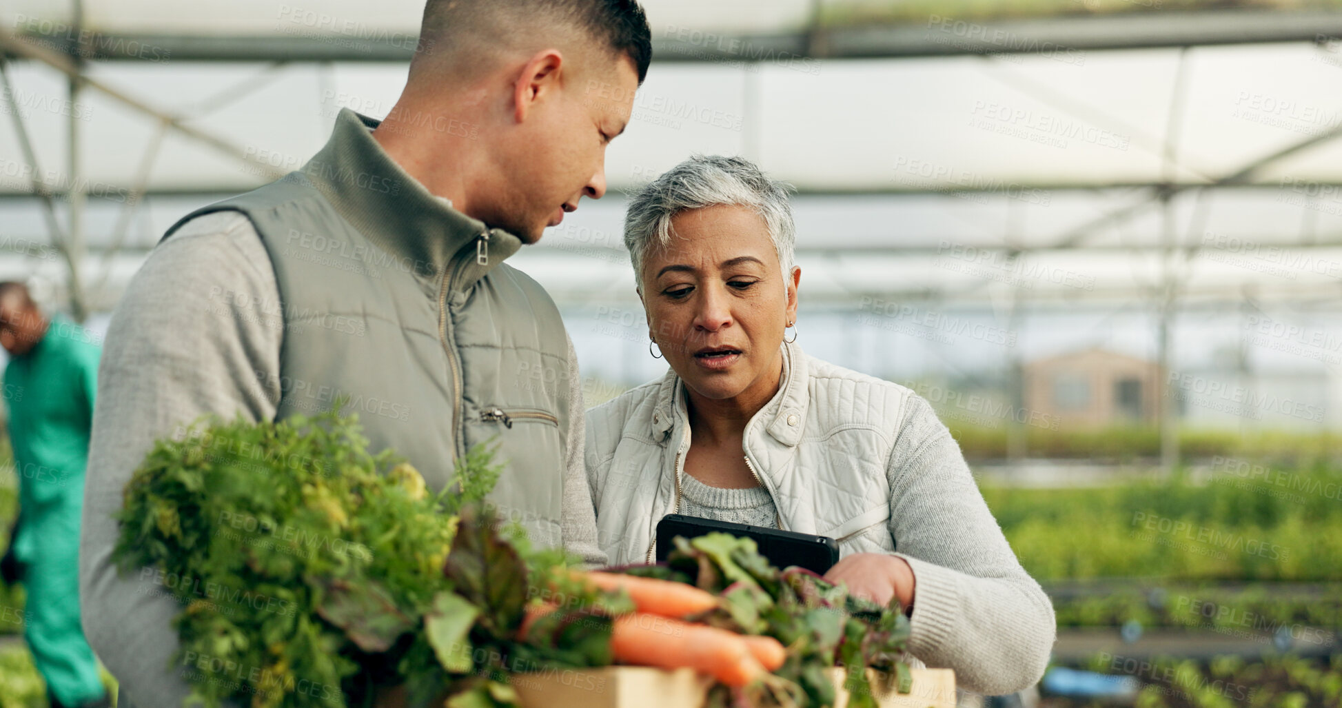 Buy stock photo Mature woman, greenhouse and talking with working and agriculture work with a smile of farmer. Sustainability, plants and garden soil with agro career and farming with produce and growth inspection