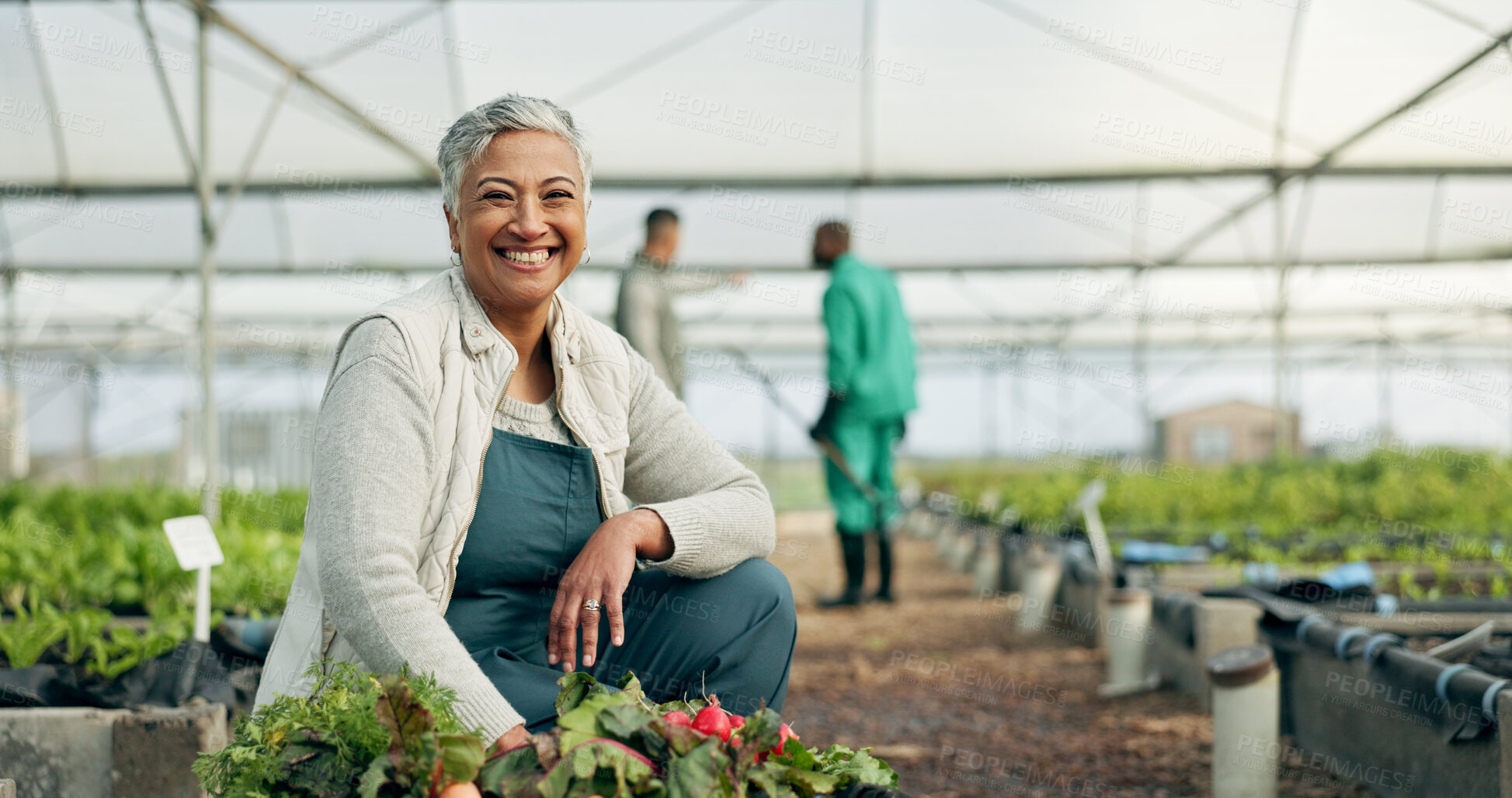 Buy stock photo Mature woman, greenhouse and portrait with working and agriculture work with a smile of farmer. Sustainability, plants and garden soil with agro career and farming with produce and growth inspection