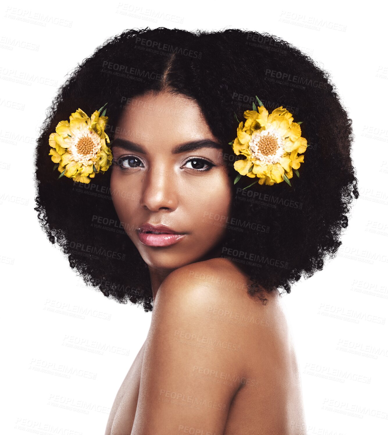 Buy stock photo Portrait, woman and hair care with beauty or yellow flowers isolated on png transparent background. African model, skincare and daisy plants in afro for cosmetics, floral aesthetic and confidence