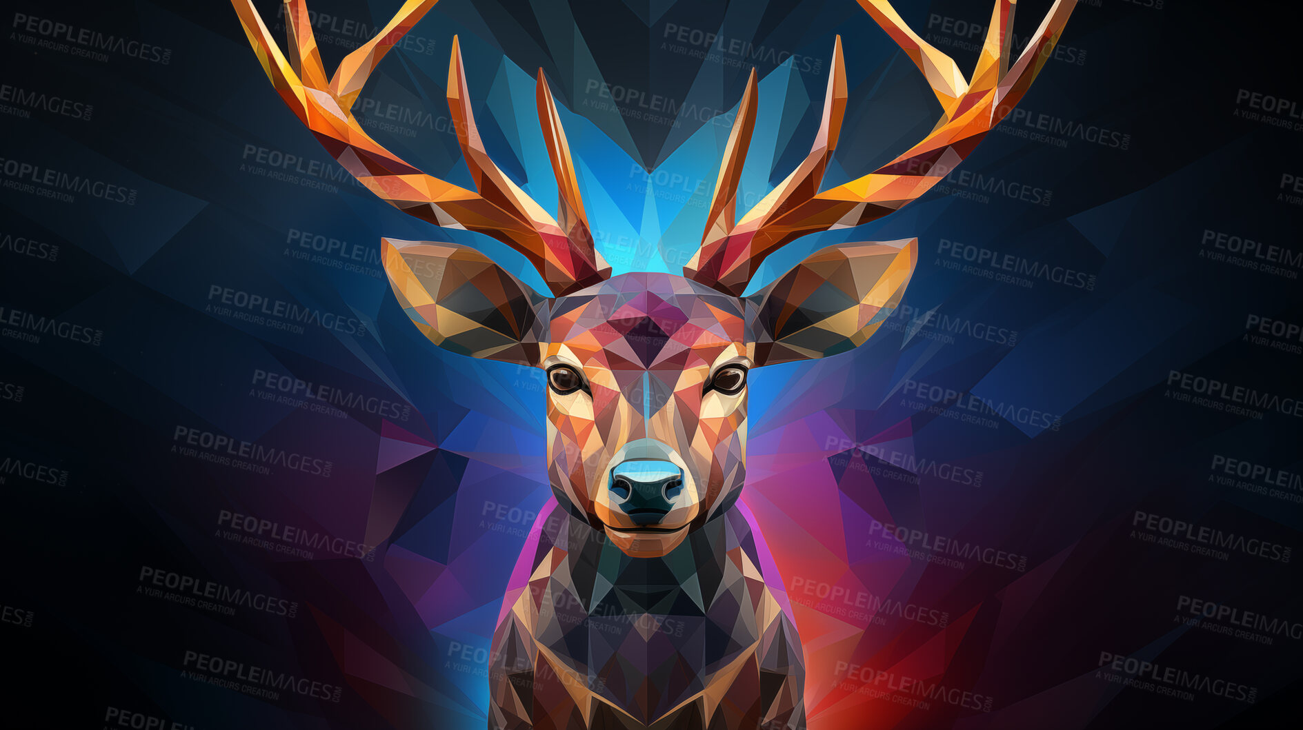 Buy stock photo Colourful geometric illustration of a reindeer. Poly graphic on black background.