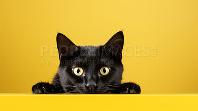 Buy stock photo Curious black cat looking across table, yellow background.