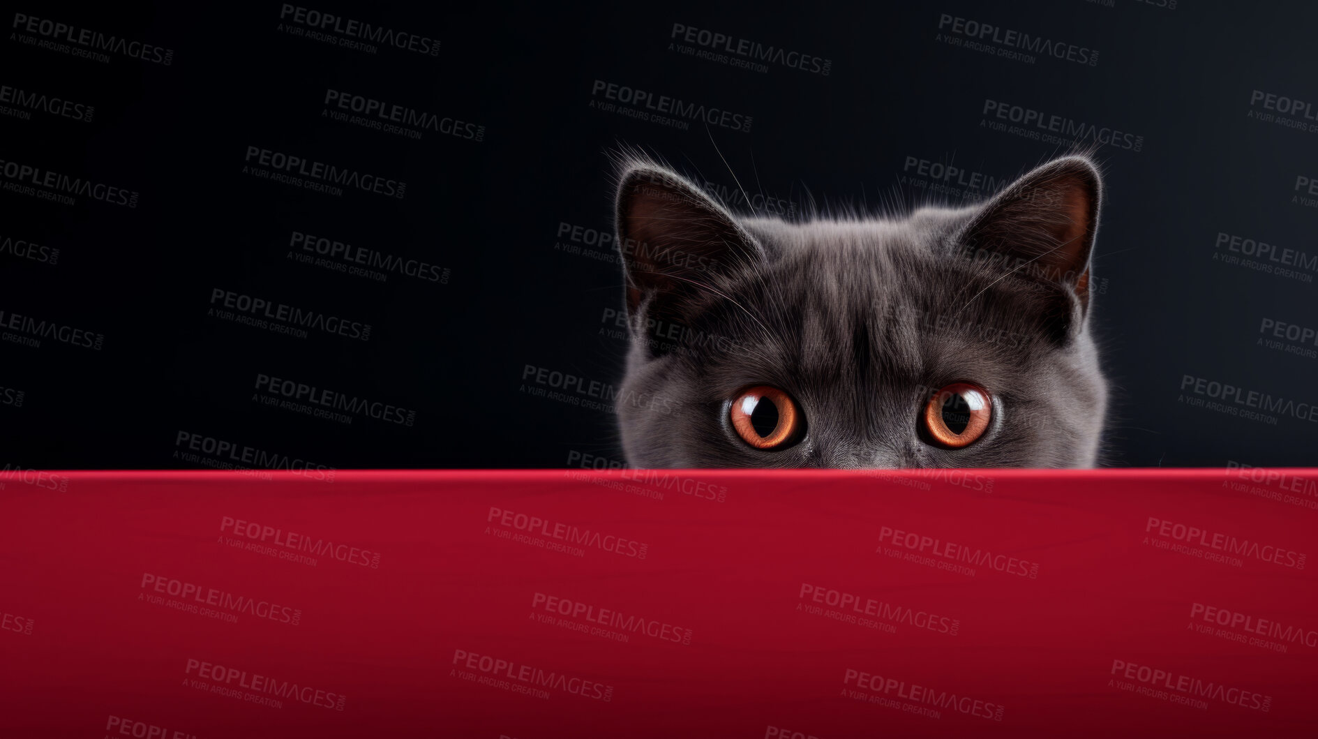 Buy stock photo Curious cat looking across table, colourful background.