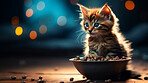 Small kitten eating, looking at food bowl, illustrated.