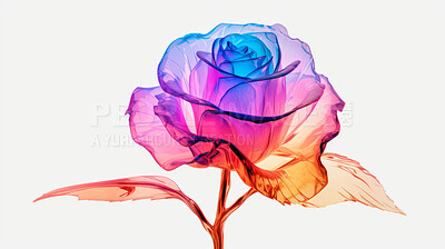Beautiful, colourful or rose flower x-ray on a white background for wallpaper, print or abstract art. Creative, vibrant and transparent closeup of a plant for science, blueprint or nature photography