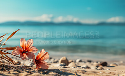 Closeup, flower and beach starfish for travel, mock up and space in tropical, holiday and paradise on dream vacation. Background, summer wallpaper and relax in nature, island and blue sea waves