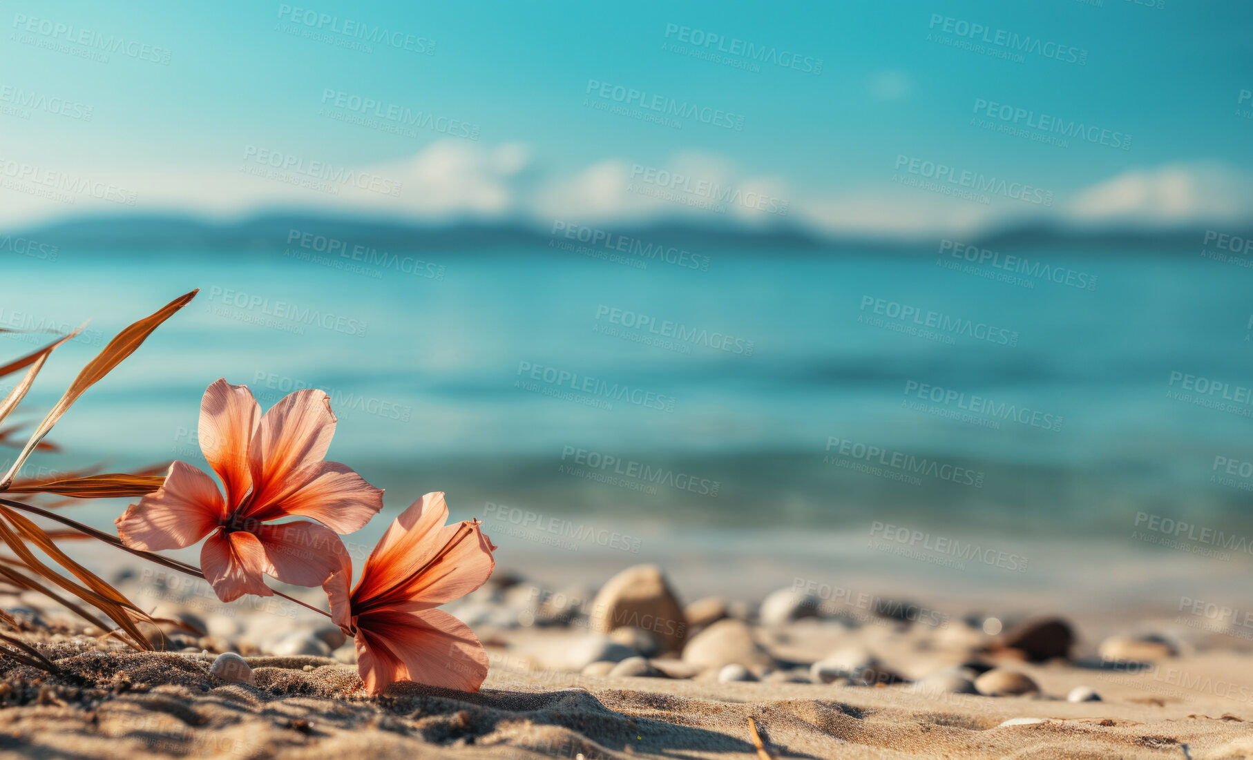 Buy stock photo Closeup, flower and beach starfish for travel, mock up and space in tropical, holiday and paradise on dream vacation. Background, summer wallpaper and relax in nature, island and blue sea waves