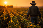 Back, crop and sunset field for farmer walking in soybean agriculture, environment and harvest. Organic food, person and nutritious protein produce on land for service industry and agribusiness