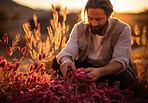 Closeup, grain and person holding wheat crop from farming, agriculture and environment harvest in sunset. Organic food, farmer and nutritious produce in field for service industry and agribusiness