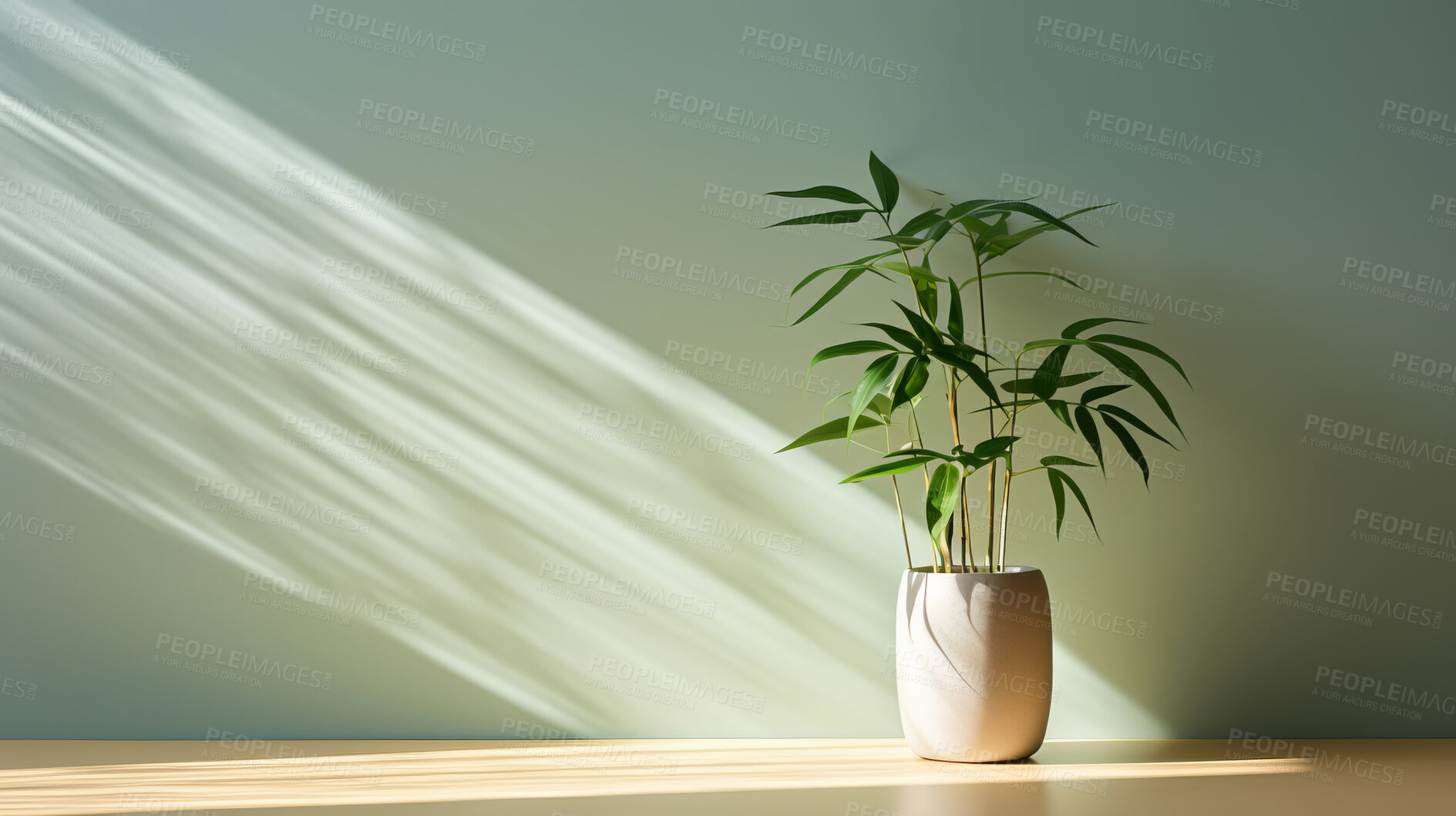 Buy stock photo Room, sunlight and serene ambiance for tranquil vibes, natural light and a calming atmosphere. Soft shadows, streaming sunlight and cozy furnishings create an idyllic space. Perfect for home decor blogs, real estate listings and relaxation-focused visuals.