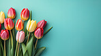 Springtime tulips, blooming and colorful petals for a refreshing floral background, nature and seasonal vibrancy. Tulips in a variety of colors form a lively and cheerful scene, providing an ideal backdrop for spring-related content. Ideal for nature-insp