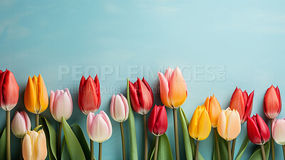 Springtime tulips, blooming and colorful petals for a refreshing floral background, nature and seasonal vibrancy. Tulips in a variety of colors form a lively and cheerful scene, providing an ideal backdrop for spring-related content. Ideal for nature-insp