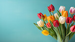 Springtime tulips, blooming and colorful petals for a refreshing floral background, nature and seasonal vibrancy. Tulips in a variety of colors form a lively and cheerful scene, providing an ideal backdrop for spring-related content. Ideal for nature-insp