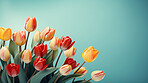 Springtime tulips, blooming and colorful petals for a refreshing floral background, nature and seasonal vibrancy. Tulips in a variety of colors form a lively and cheerful scene, providing an ideal backdrop for spring-related content. Ideal for nature-insp