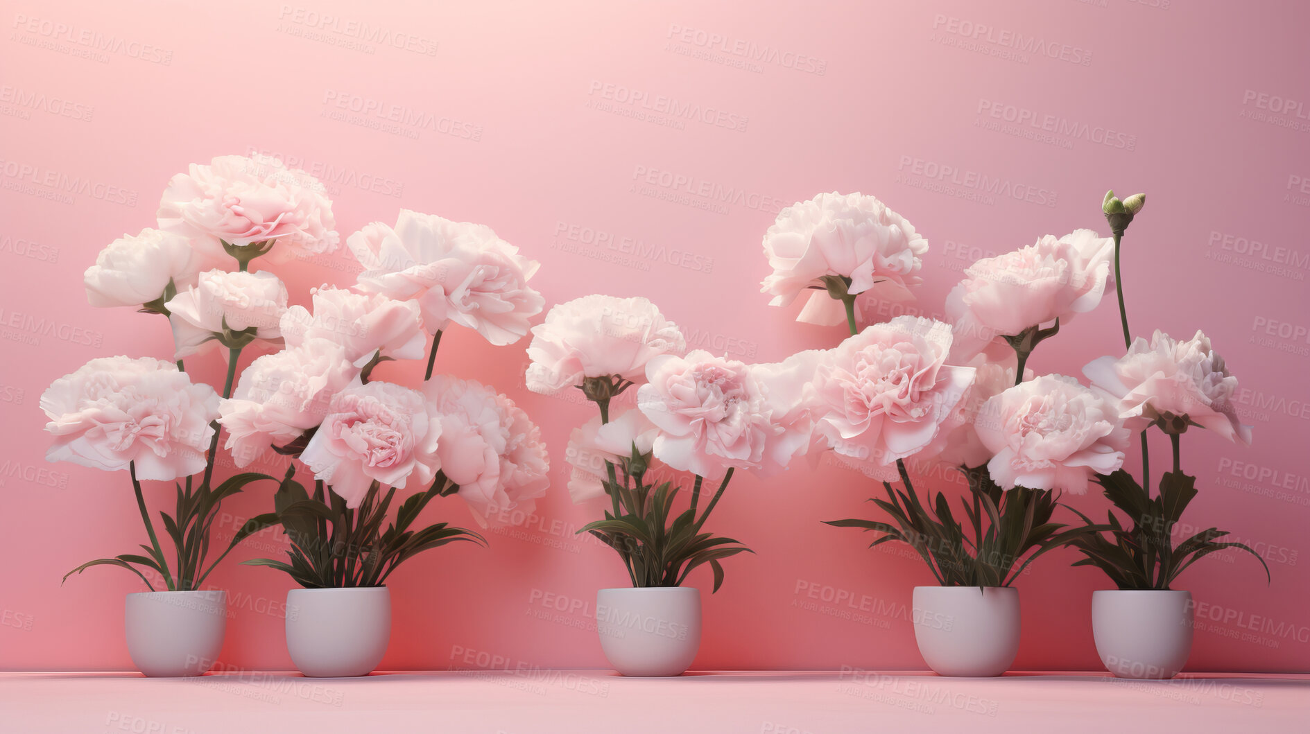 Buy stock photo Carnation whispers, pastel harmony and delicate blooms for a serene floral arrangement, beauty and tranquility. Soft-hued carnations in gentle pastels form a graceful and soothing background. Suitable for spa visuals, mindfulness content and calming aesthetics.