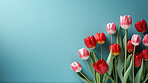 Springtime tulips, blooming and colorful petals for a refreshing floral background, nature and seasonal vibrancy. Tulips in a variety of colors form a lively and cheerful scene, providing an ideal backdrop for spring-related content. Ideal for nature-insp