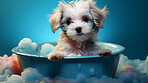 Puppy, bath and bubbly bliss for adorable cleanliness and joyful pampering. Wet fur, playful bubbles and gentle care. This scene is perfect for pet grooming services, care blogs and heartwarming visuals.