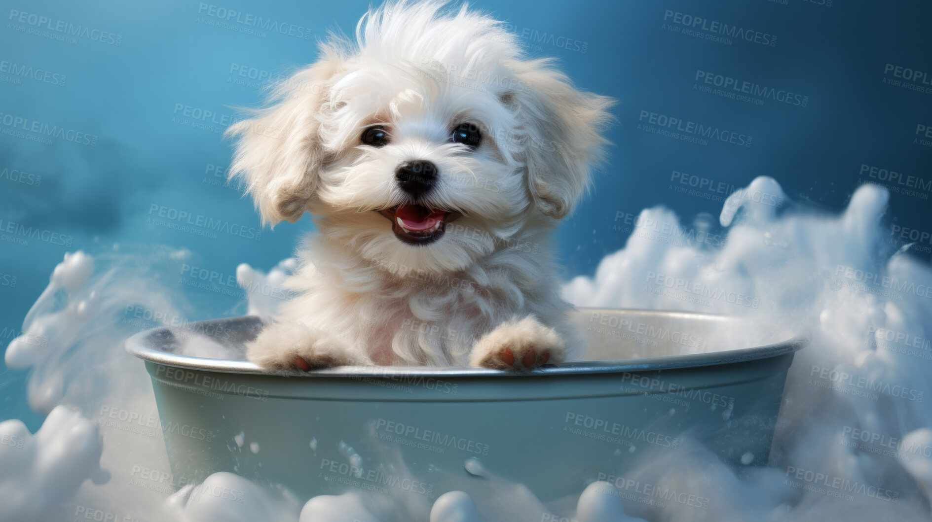 Buy stock photo Cute puppy, bath-time excitement, surrounded by bubbles and playful splashes. Sudsy puppy love, grooming joy, and pure bubbly happiness.