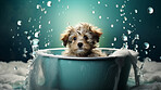 Cute puppy, bath-time excitement, surrounded by bubbles and playful splashes. Sudsy puppy love, grooming joy, and pure bubbly happiness.