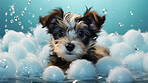 Puppy, bath and bubbly bliss for adorable cleanliness and joyful pampering. Wet fur, playful bubbles and gentle care. This scene is perfect for pet grooming services, care blogs and heartwarming visuals.