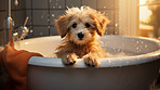 Puppy, bath and bubbly bliss for adorable cleanliness and joyful pampering. Wet fur, playful bubbles and gentle care. This scene is perfect for pet grooming services, care blogs and heartwarming visuals.