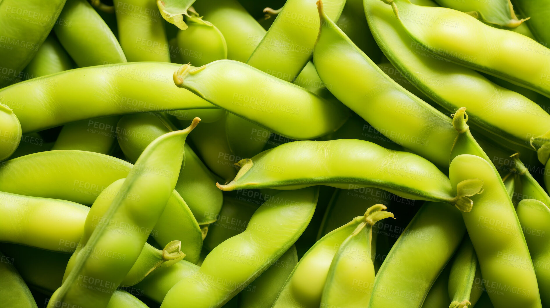 Buy stock photo Healthy, natural and broad bean background in studio for farming, organic produce and lifestyle. Fresh, summer food and health meal closeup for eco farm market, fibre diet and vegetable agriculture