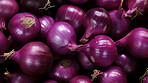 Healthy, natural and purple onion background in studio for farming, organic produce and lifestyle. Fresh, summer food and health meal closeup for eco farm market, fibre diet and vegetable agriculture