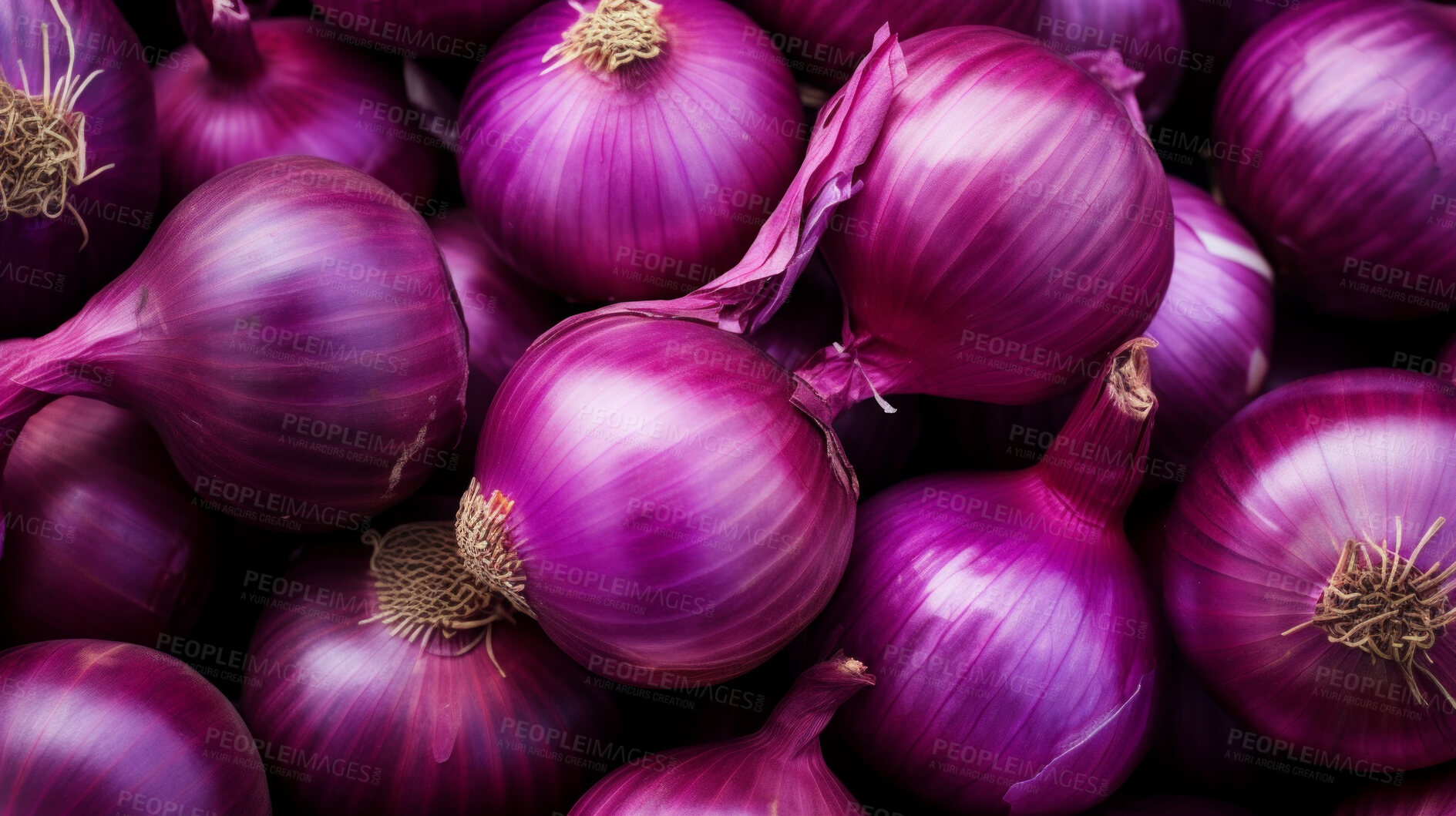 Buy stock photo Healthy, natural and purple onion background in studio for farming, organic produce and lifestyle. Fresh, summer food and health meal closeup for eco farm market, fibre diet and vegetable agriculture