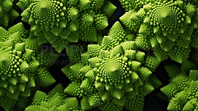 Healthy, natural and romanesco broccoli background in studio for farming, organic produce and lifestyle. Fresh, summer food and health meal closeup for eco farm market, fibre diet and agriculture