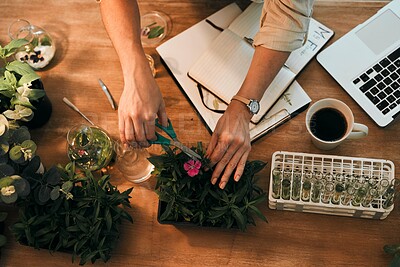 Buy stock photo Cropped shot of an unrecognizable botanist trimming the leaves of a plant while working inside her office