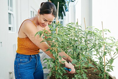 Buy stock photo Shot of an attractive young woman standing alone outside and gardening during the day